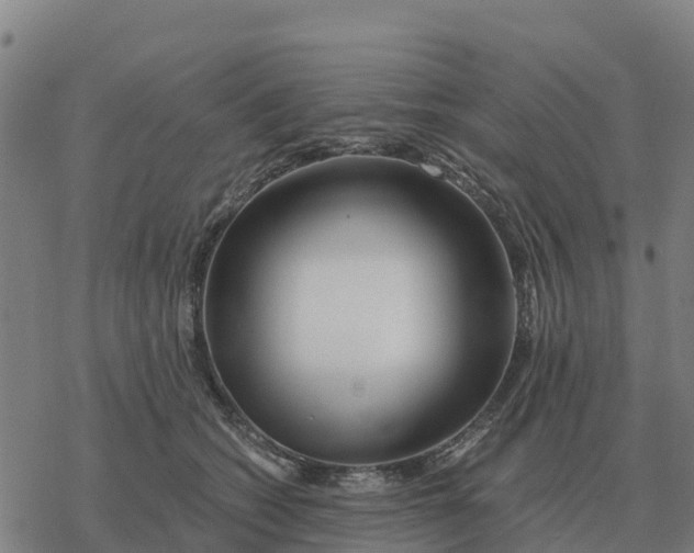 X0000076430562200610271736