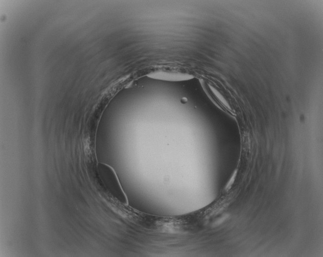 X0000076430564200610271736