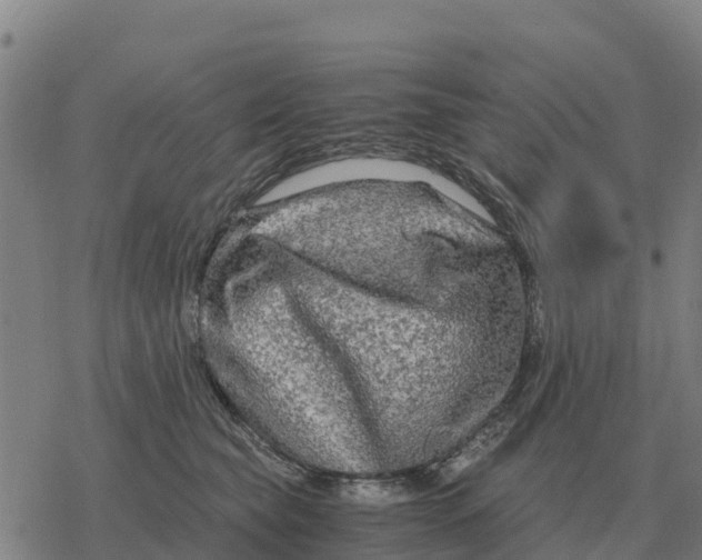 X0000076430565200610271736