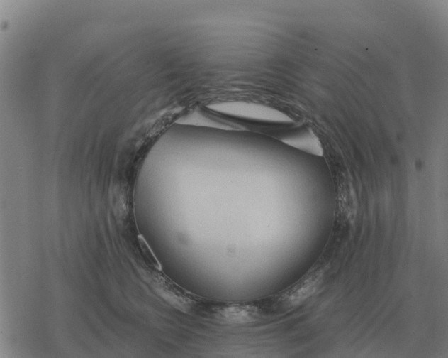 X0000076430566200610271736