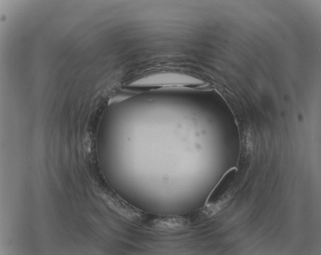 X0000076430567200610271736