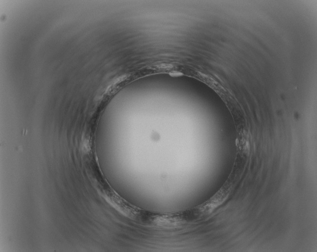 X0000076430568200610271736