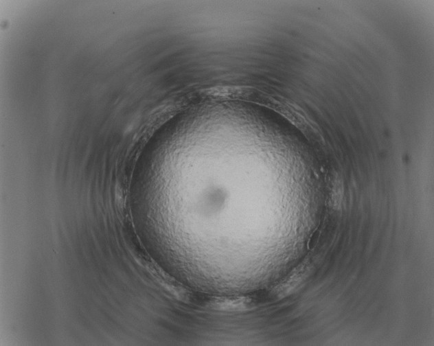 X0000076430569200610271736