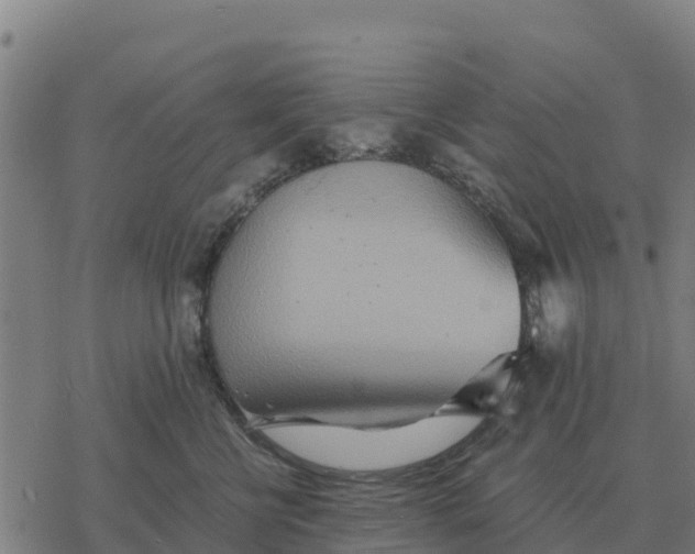 X0000076430570200610271736