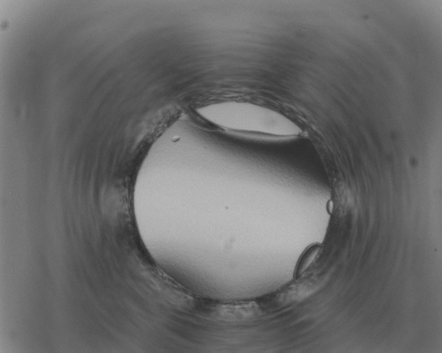 X0000076430571200610271736