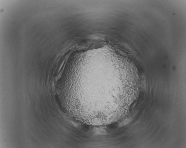 X0000076430573200610271736