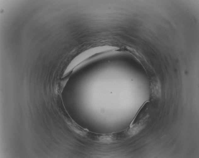 X0000076430574200610271736