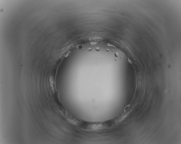 X0000076430575200610271736