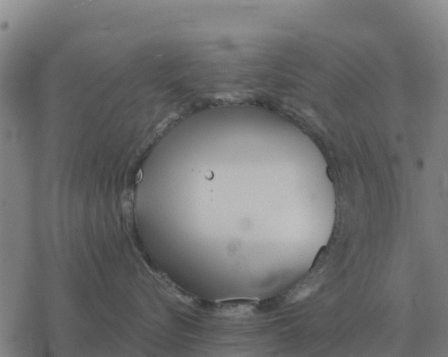 X0000076430576200610271736