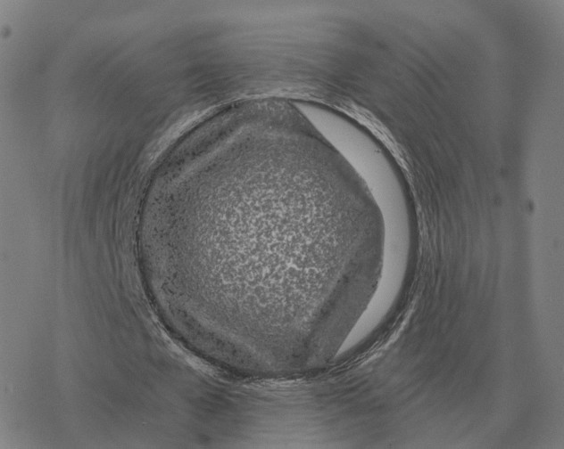 X0000076430577200610271735