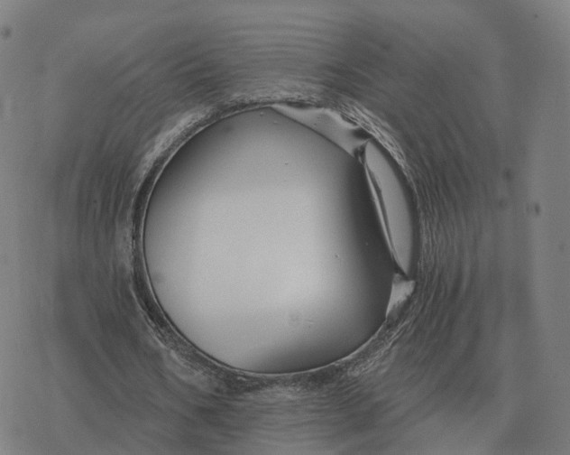 X0000076430578200610271735