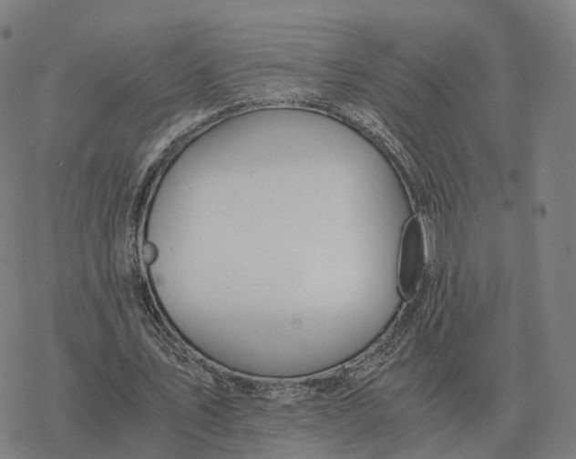 X0000076430579200610271735