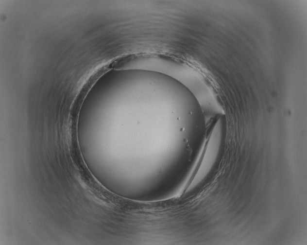 X0000076430580200610271735