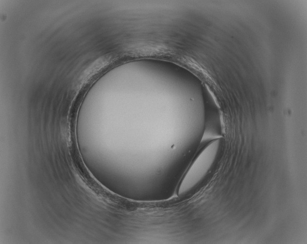 X0000076430582200610271735