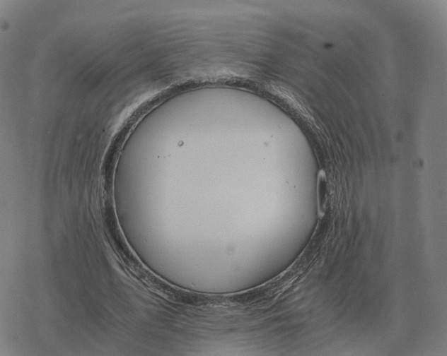 X0000076430583200610271735