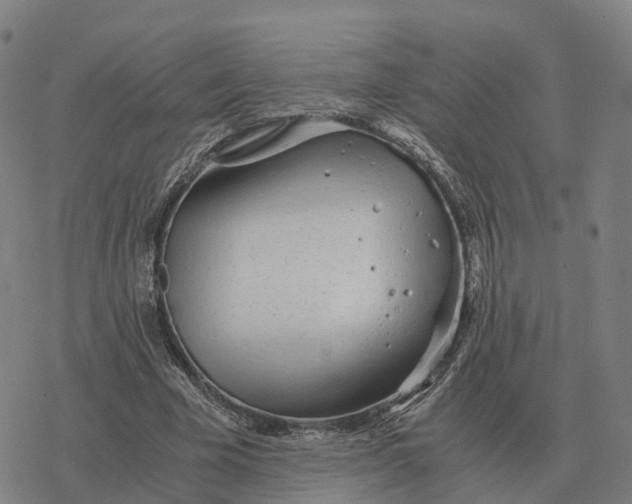 X0000076430585200610271735