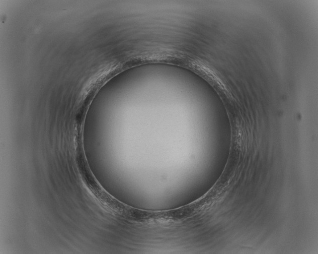 X0000076430586200610271735