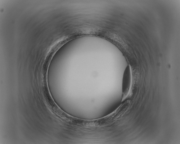 X0000076430587200610271735