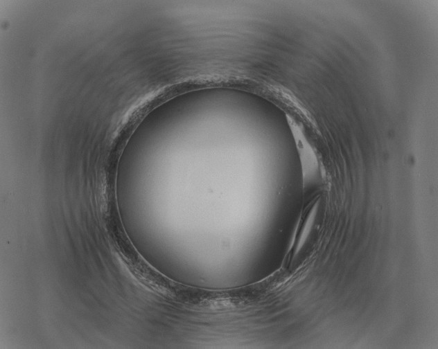 X0000076430588200610271735