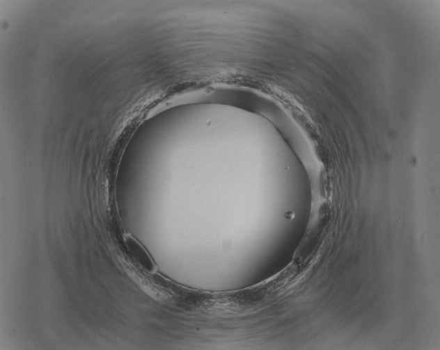 X0000076430589200610271735