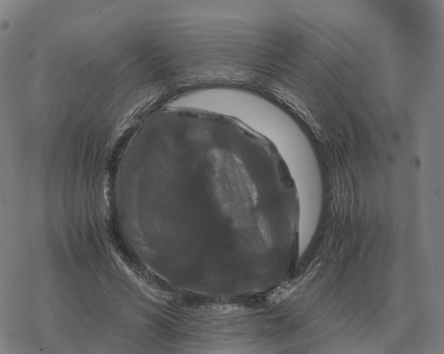 X0000076430590200610271735