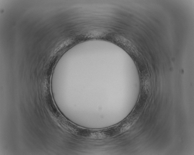 X0000076430591200610271735