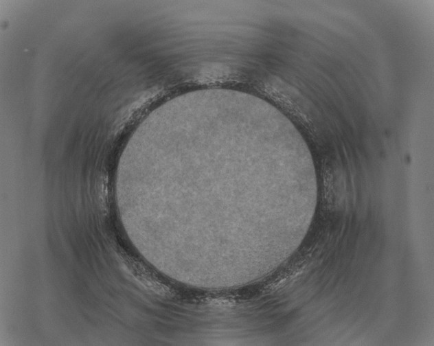 X0000076430592200610271735