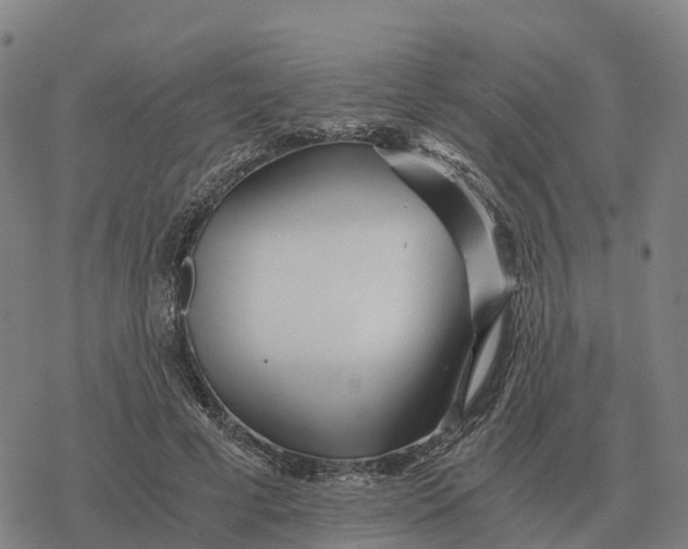 X0000076430593200610271735