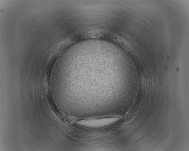 X0000076430594200610271735