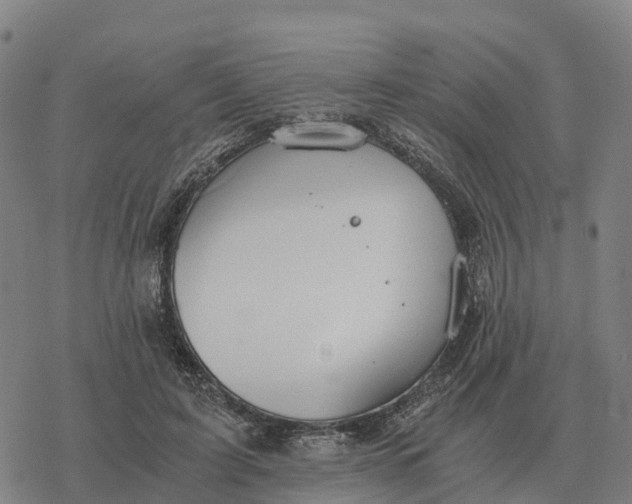 X0000076430595200610271735