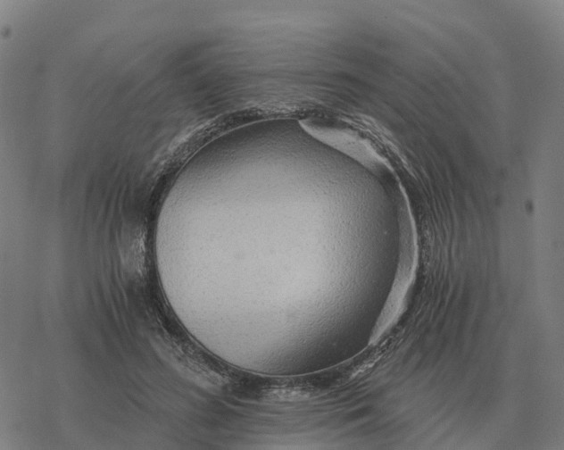 X0000076430596200610271735