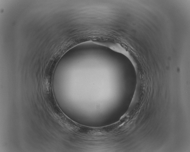 X0000076430597200610271735