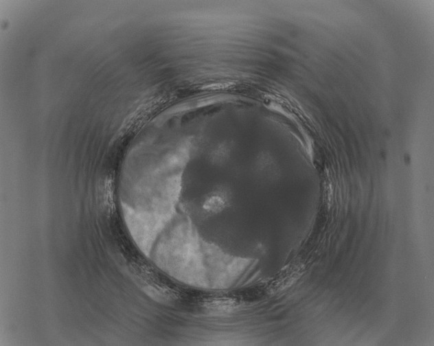 X0000076430598200610271735