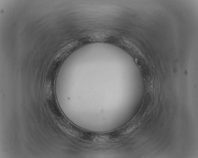 X0000076430599200610271735