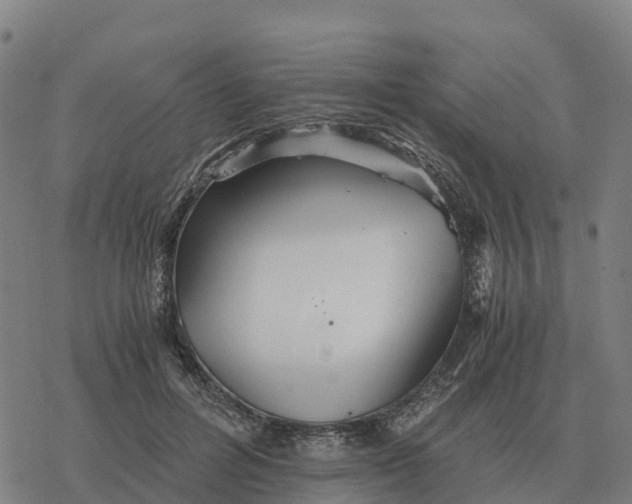 X0000076430600200610271735