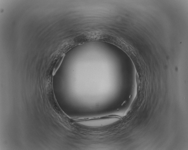 X0000076430601200610271735