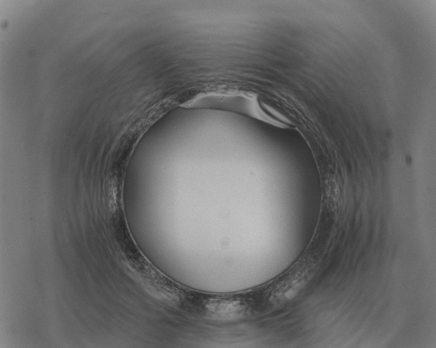 X0000076430602200610271735