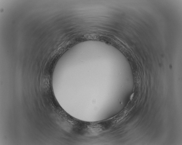 X0000076430603200610271735