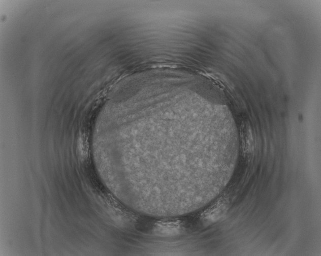 X0000076430606200610271735