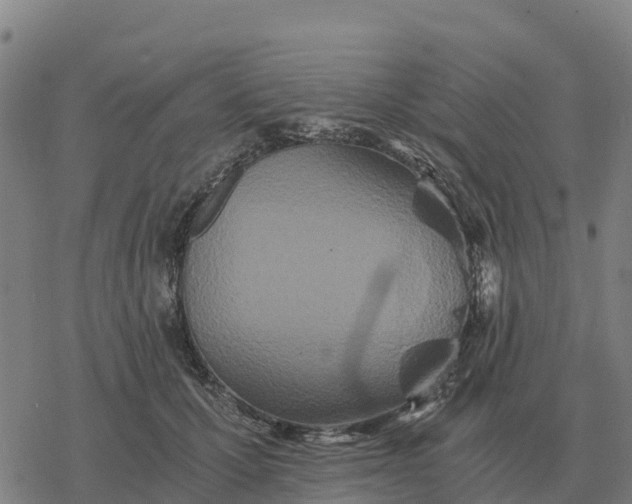 X0000076430607200610271735