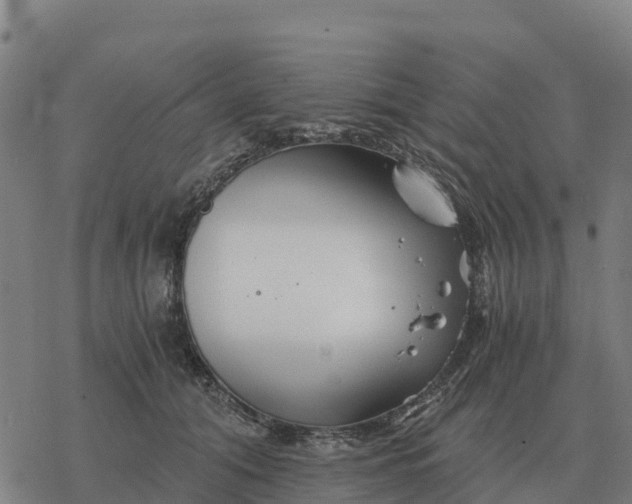 X0000076430608200610271735