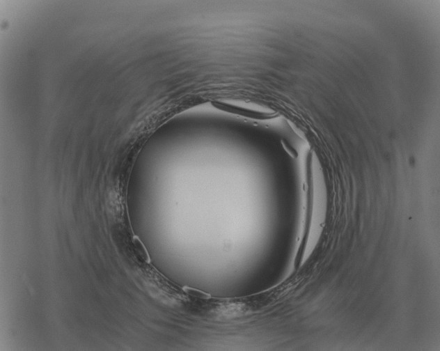 X0000076430609200610271735