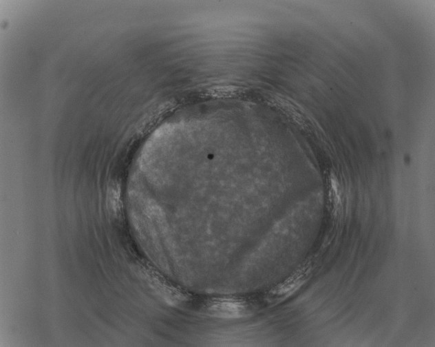 X0000076430610200610271735