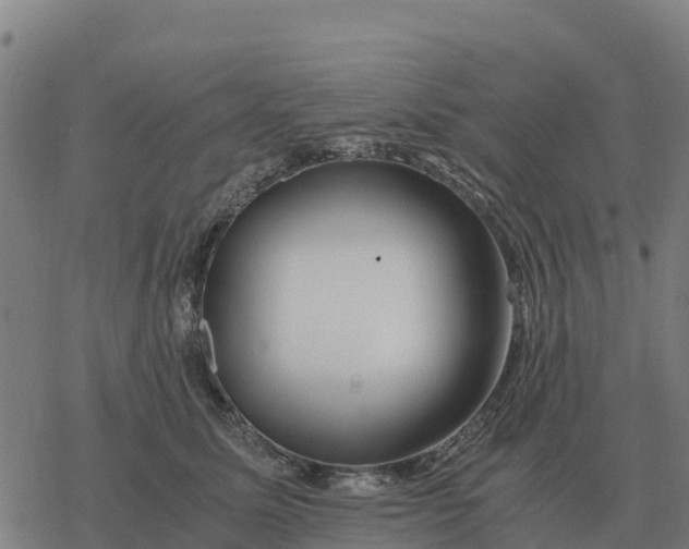 X0000076430611200610271735