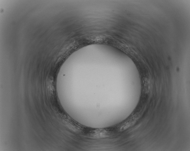 X0000076430612200610271735