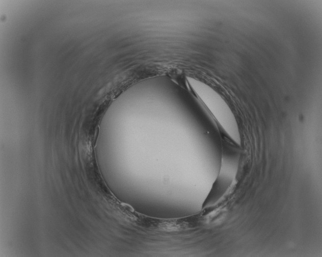 X0000076430613200610271735