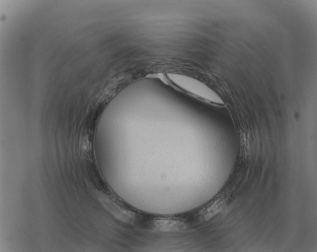 X0000076430614200610271735