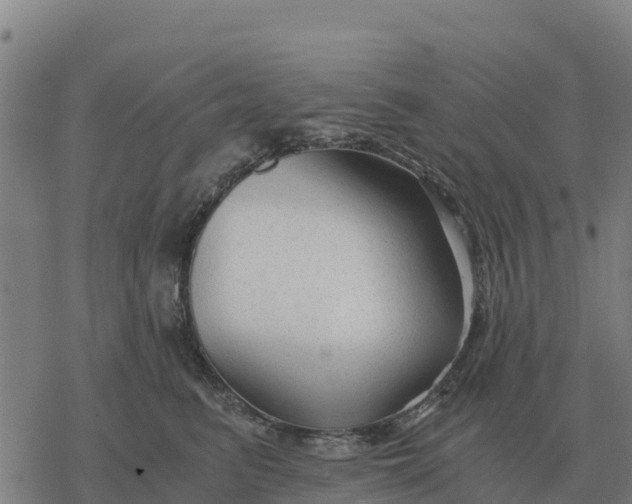 X0000076430615200610271735