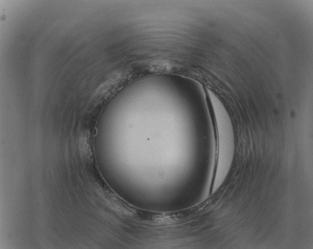 X0000076430616200610271735