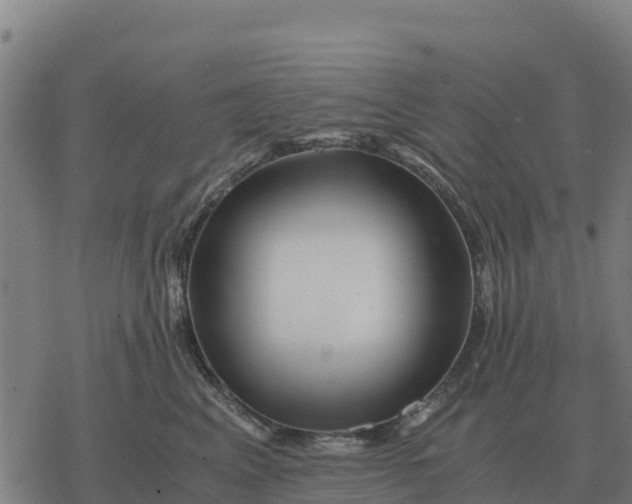 X0000076430617200610271735